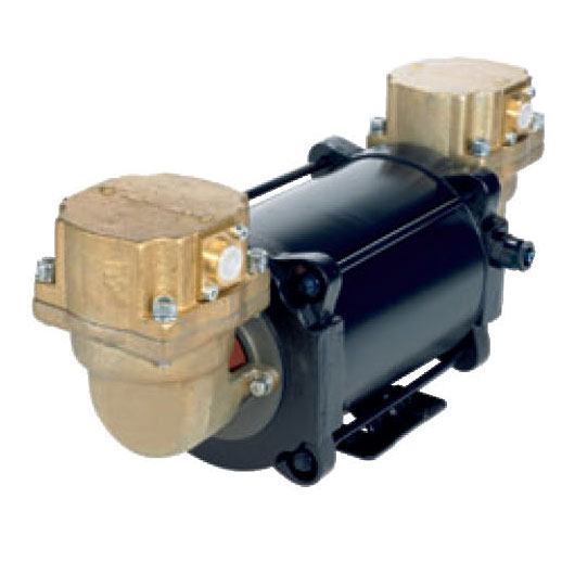 Vapour recovery 펌프 Vapour Recovery Pump 8014,8012